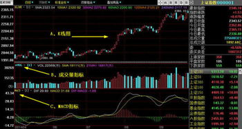 K线图最下面是表示交易量吗