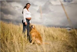 女人在怀孕期间到底能不能养狗 看到这几点养狗经验你就知道了