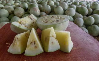 三白瓜的功效与作用及食用方法,三白瓜里面发芽了还能吃吗