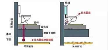 同层排水系统(同层排水是什么意思)