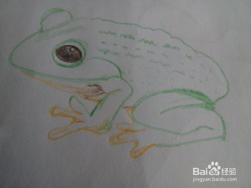 怎样用彩笔画青蛙 
