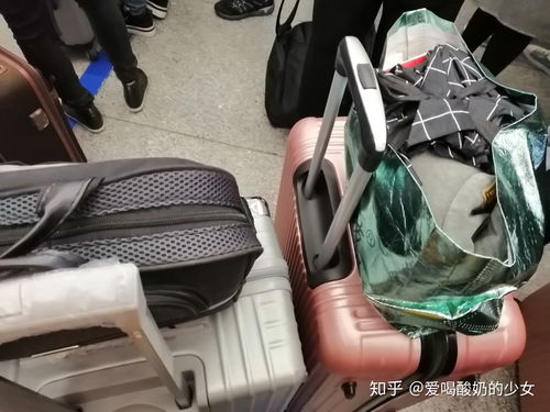 动车行李箱放哪里,动车行李箱放哪里