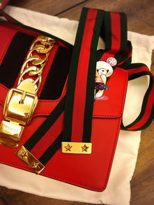 古驰sylvie Gucci 应该是最近几个月最火的包了 小红书购物笔记 