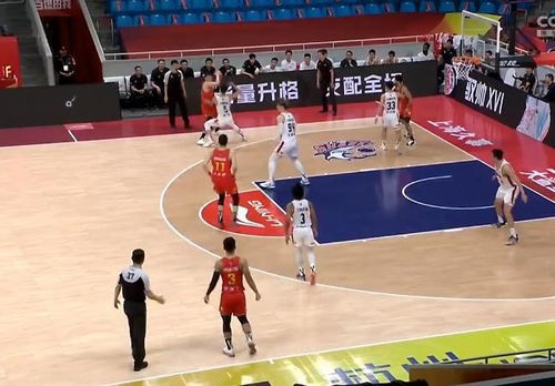 上海与深圳篮球直播