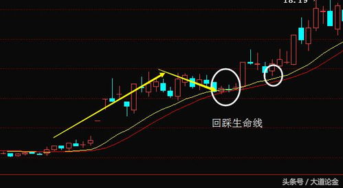 如何看一支股票的主力成本线？