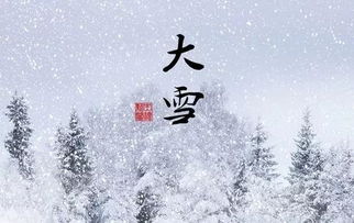 雪后的优美句子大全