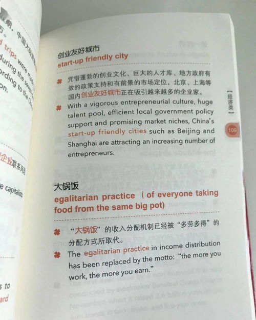 如何查询中国特色表达的英语翻译