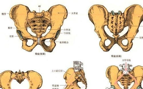 头痛先别着急吃药,按摩一下这些地方试试