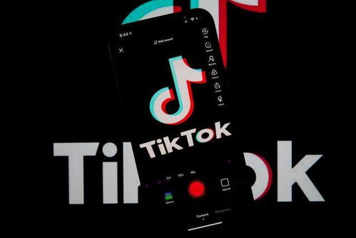 TikTok 在报道 Instagram 对青少年的影响后推出心理健康指南