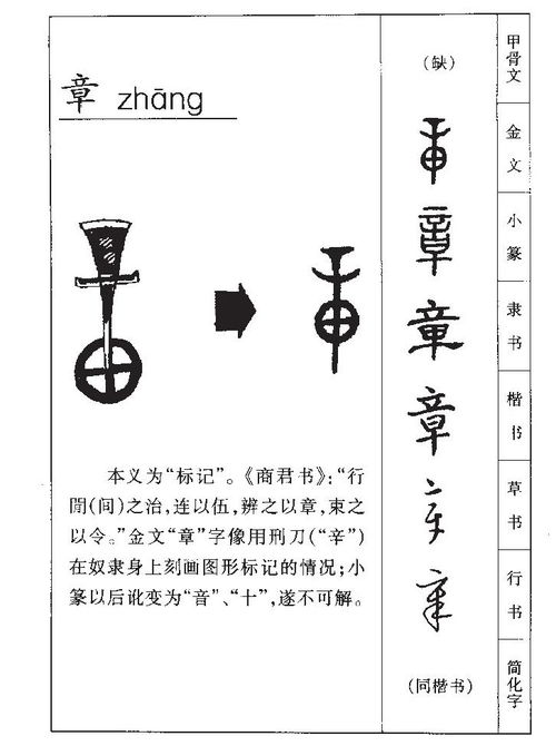 章的意思 章字五行属什么 章字取名的寓意 