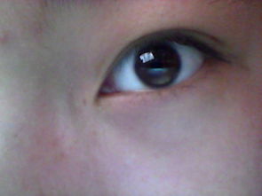 我的眼睛是什么类型,比如丹凤,桃花,杏眼 有图的,是近视眼 
