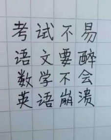 期末版 生僻字 来了 句句写到学生心坎里,你能忍住不唱出来吗