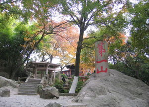 龙岩到泉州自驾一日游 清源山,开元寺,洛阳桥