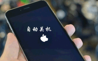 为什么iphone手机大冷天就会触摸失灵 自动关机,究竟怎么回事 