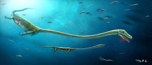 中国发现2.45亿年前怀孕恐龙,破解先有鸡先有蛋 