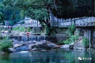 民国古村 漂流戏水 避暑圣地,奉化这个地方可以承包你的夏天