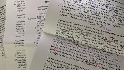 逃离996的年轻人,上海硕士情侣打了8年零工