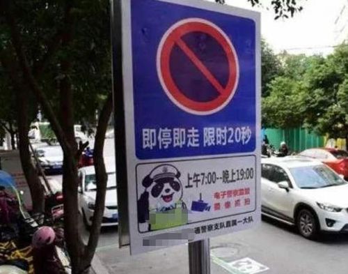 车位里画个熊猫啥意思 交警 一旦停错就扣3分,大家请提前搞懂
