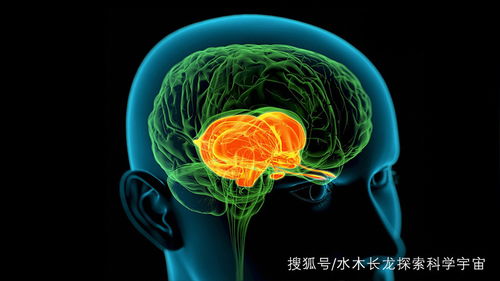 科学家最新研究 如果不从梦中醒来,根本无法区分现实和梦境 