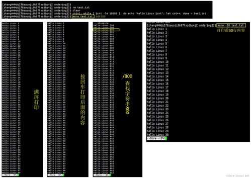 less命令的用法(linux命令find用法详解)