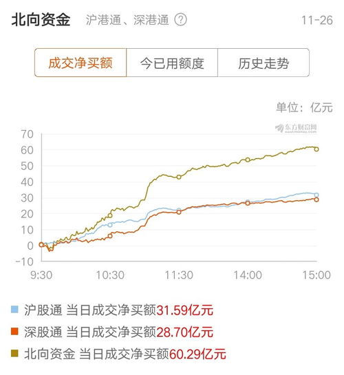 今天这票为什么跌停，求注解，没理由