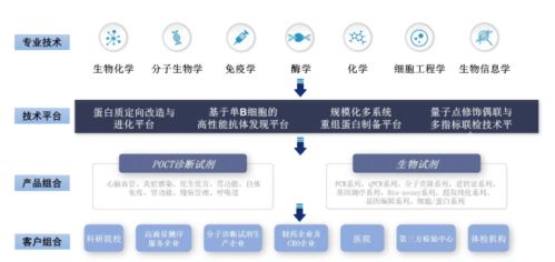 中色科技股份有限公司的装备研制业务