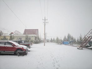 南山四月大雪袭来犹如冬