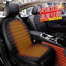 汽车加热坐垫 车载座椅垫电热暖垫靠垫通用冬季新款车用12V座垫 单人
