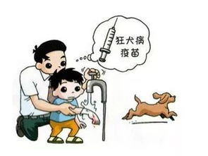 关于狂犬疫苗,省疾控中心的5个回答解开您所有的疑虑 