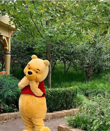 上海迪士尼噗噗熊被打,熊孩子的背后是熊家长,何时有所改变