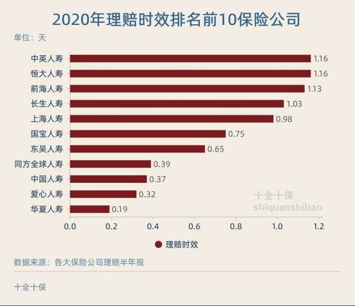 保险公司半年数据总结报告