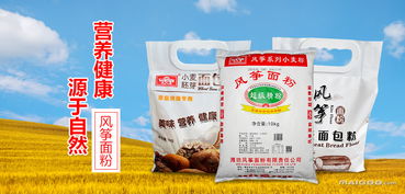 潍坊大型面粉企业