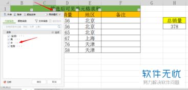 在wps中如何在筛选后显示剩余单元格的求和值