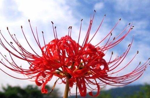 7月份迎来好运程,3星座精神抖擞,正财增长,横财就手,日子红火