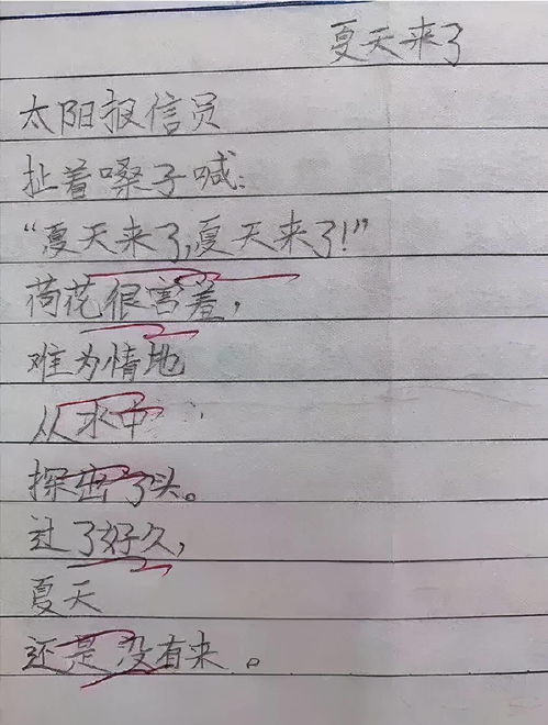 太阳终于出来了作文