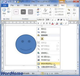 在Word2010文档窗口中设置绘图画布格式 