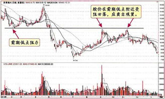 我是一个股民，经常关注一些股票资讯，但总是觉得信息推送不够及时，这可怎么办好啊？