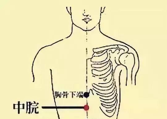 存一分胃气,保一份生命,灸好一奇穴,生发胃气,胃病一扫而光 脾胃 