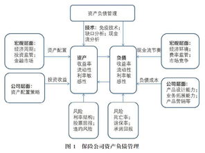 什么是资产，什么是负债，为什么有点资产本质是负债(什么叫资产?什么叫负债?)