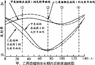 不同地物在同一光谱波段上的反射率差异越大,越容易区分 下图反映了甲 乙两类植物在生长期内两个波段上的反射率 在遥感影像上区分这两类植物,应选择生长期内哪一天的影像最合适 