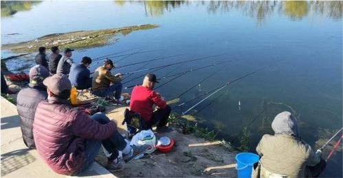 长江水生生物保护意见来了,违规垂钓最高罚1000 钓鱼人要注意什么