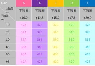 胸围87cm是什么罩杯 