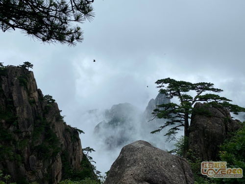 黄山小游 在最好的时节去爬山 