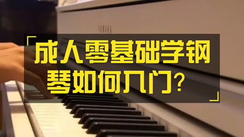 成人零基础学钢琴应该如何入门 如何挑选钢琴