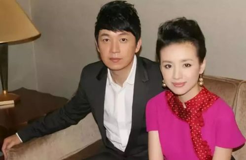 董洁与潘粤明结婚4年,为什么会转身爱上其貌不扬的王大治