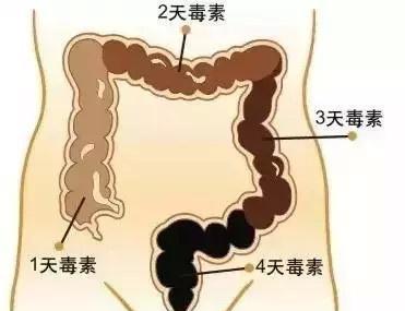 半个月没有 大便 的人,体内的屎呢 答案或许有点意外