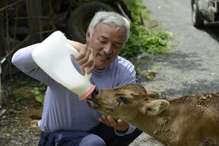老人甘愿生活在核辐射区保护动物,日本政府却天天盼他死