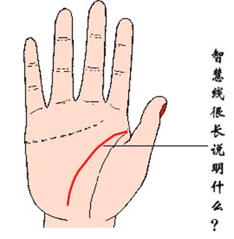 手掌智慧线中间断开 