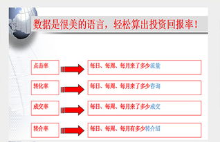 金山区全网推广公司