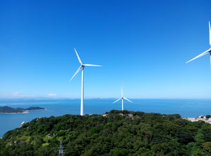 谜语海上绿洲打一山东地名的答案